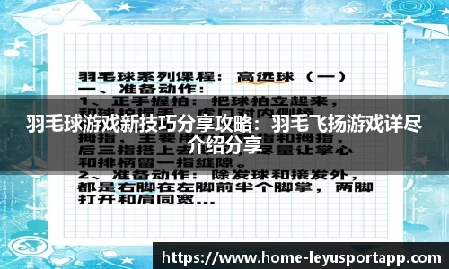 羽毛球游戏新技巧分享攻略：羽毛飞扬游戏详尽介绍分享